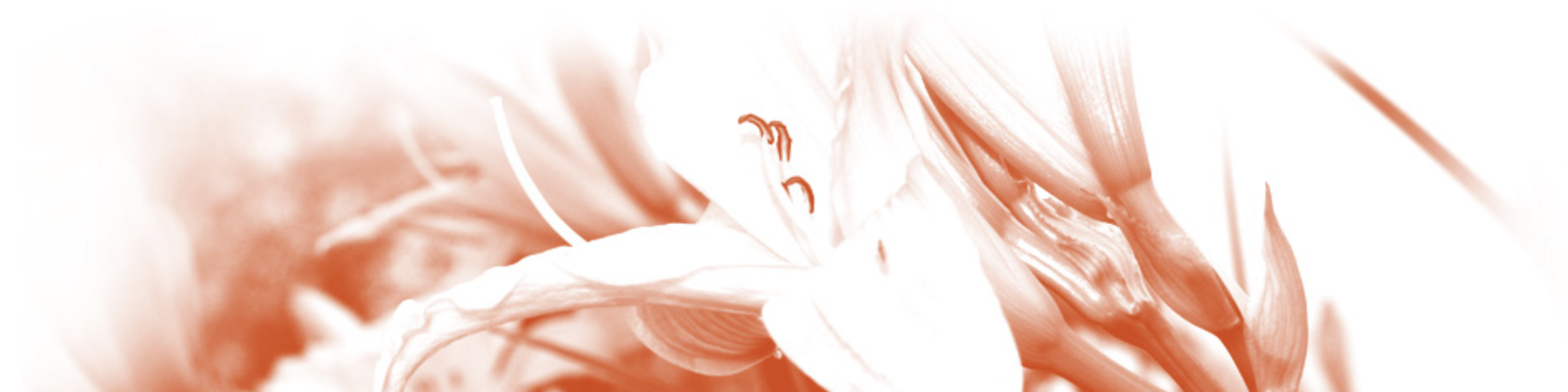 WendyKempster-registered-counsellor